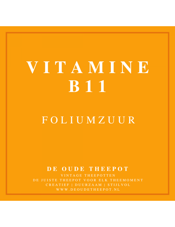 VTM009-VITAMINE-B11-FOLIUMZUUR-VITAMINEN-FYTONUTRIËNTEN